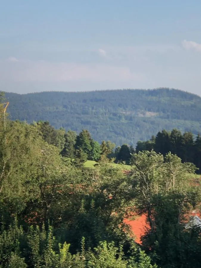 Ferienwohnung Forstpanorama Sankt Englmar 0*,