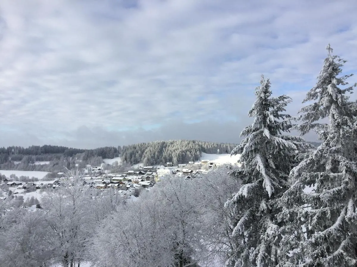 Ferienwohnung Forstpanorama Sankt Englmar